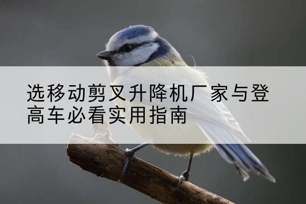 松滋电动升降机厂家-选移动剪叉升降机厂家与登高车必看实用指南