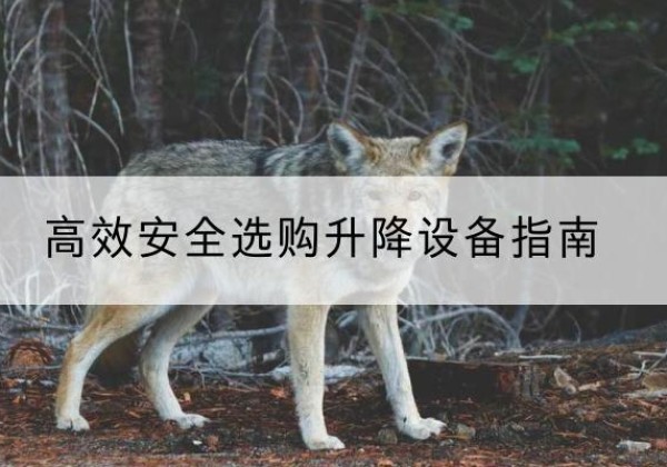 松滋升降货梯厂家推荐-*安全选购升降设备指南
