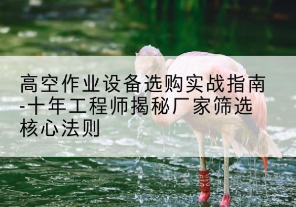 松滋剪叉式升降机厂家-高空作业设备选购实战指南-十年工程师揭秘厂家筛选核心法则